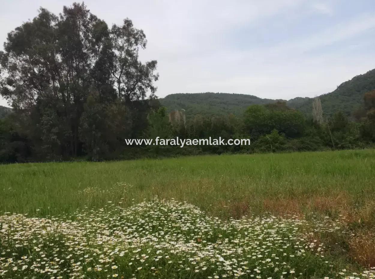 Land For Sale In Çamlida