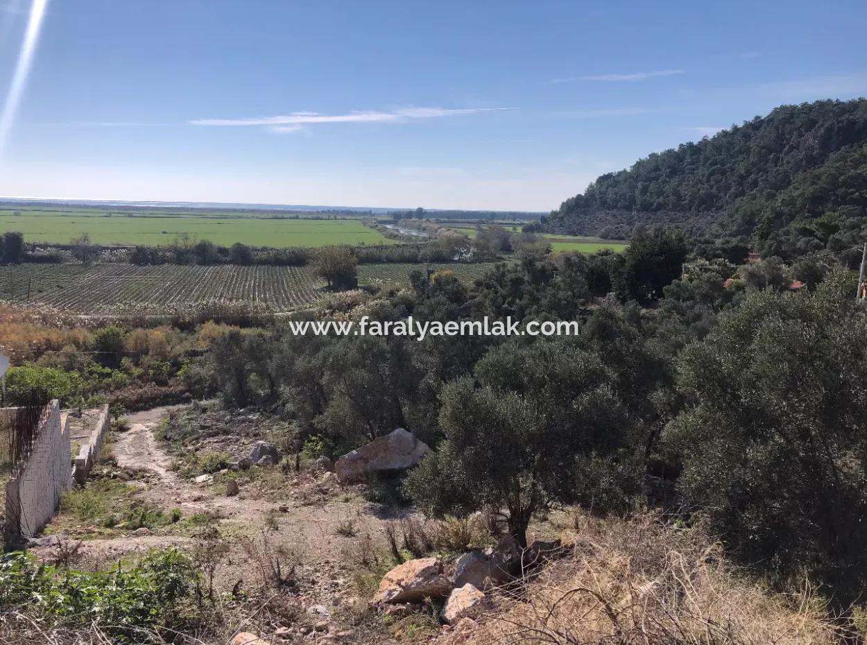 Land For Sale With Sea View Of Fevziye