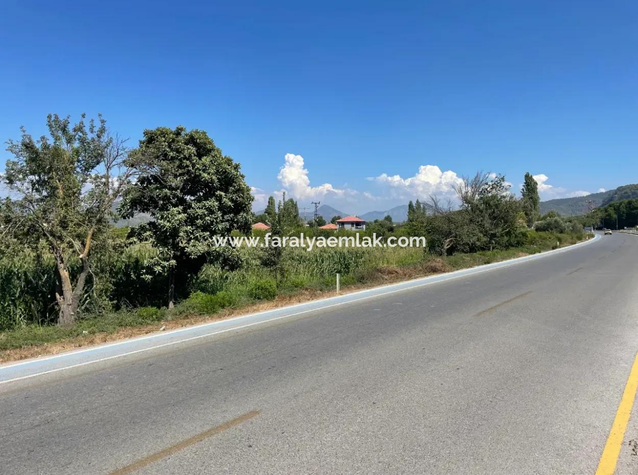 Dalyan Main Road Zero Land For Sale 8115M2 Commercial Land For Sale