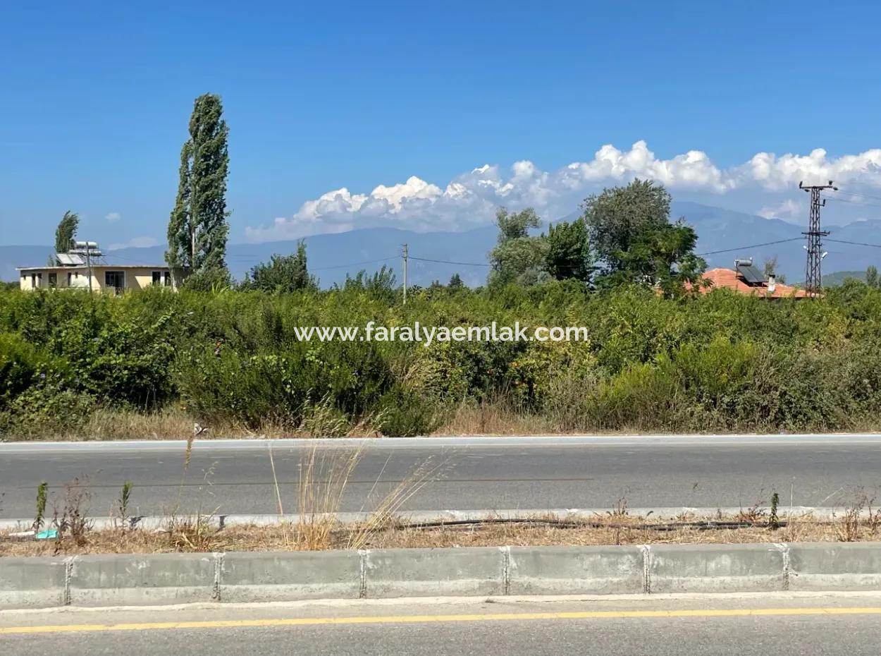 Dalyan Main Road Zero Land For Sale 8115M2 Commercial Land For Sale
