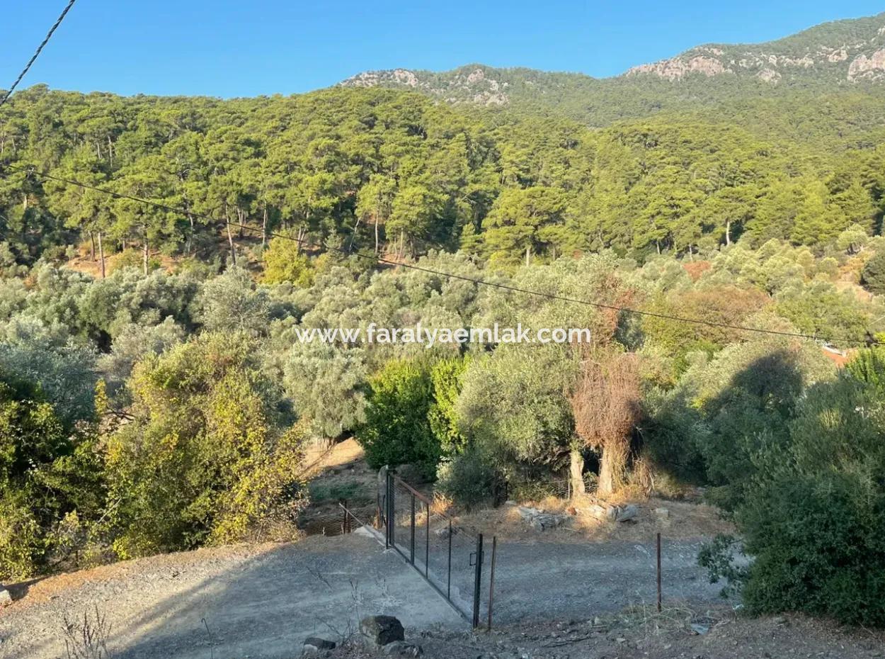 Çandir 3,800M2 Land For Sale