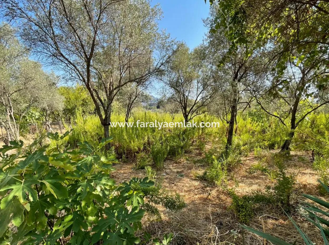 Çandır Canal Front 2765M2 Detached House For Sale