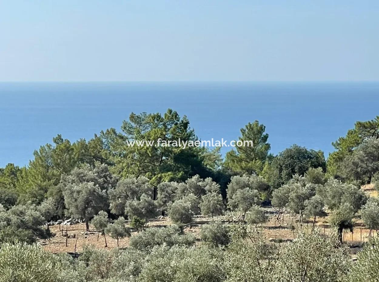 Land For Sale With Sea View Of Çandir