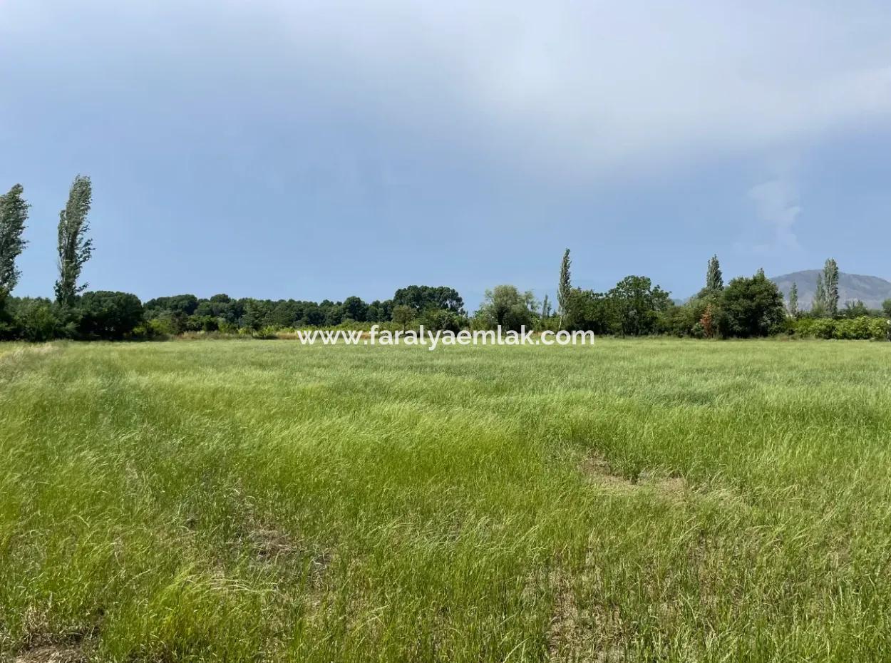 4595M2  Land For Sale In Okçular Marmarlı