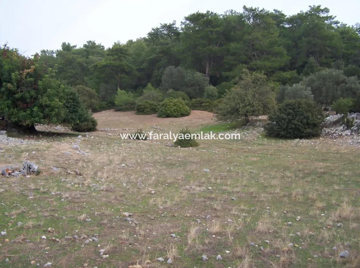 House For Sale In Sarsalada Sea View 4274M2 Plot