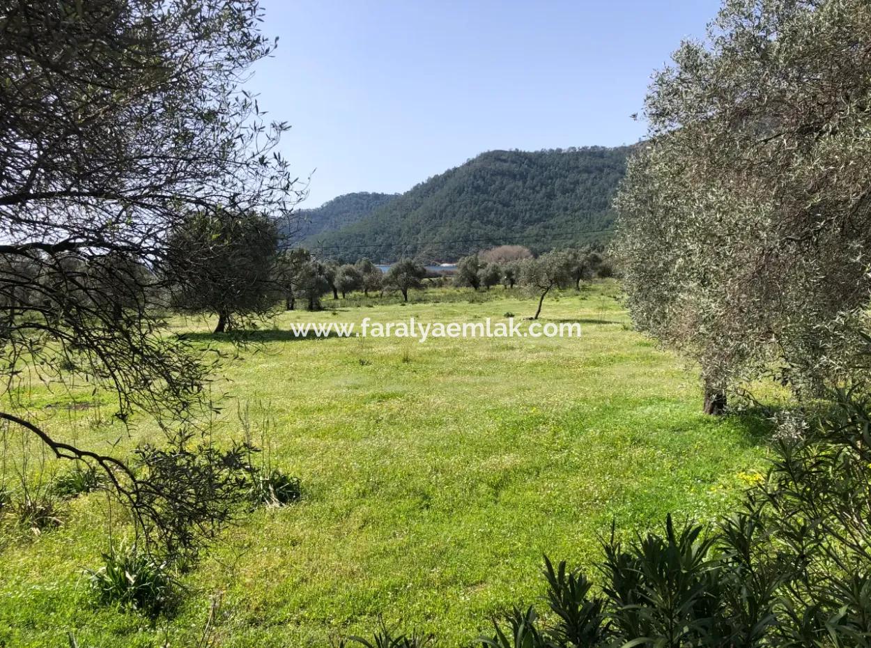3250M2 Land For Sale In Ekincik With A View Near The Sea
