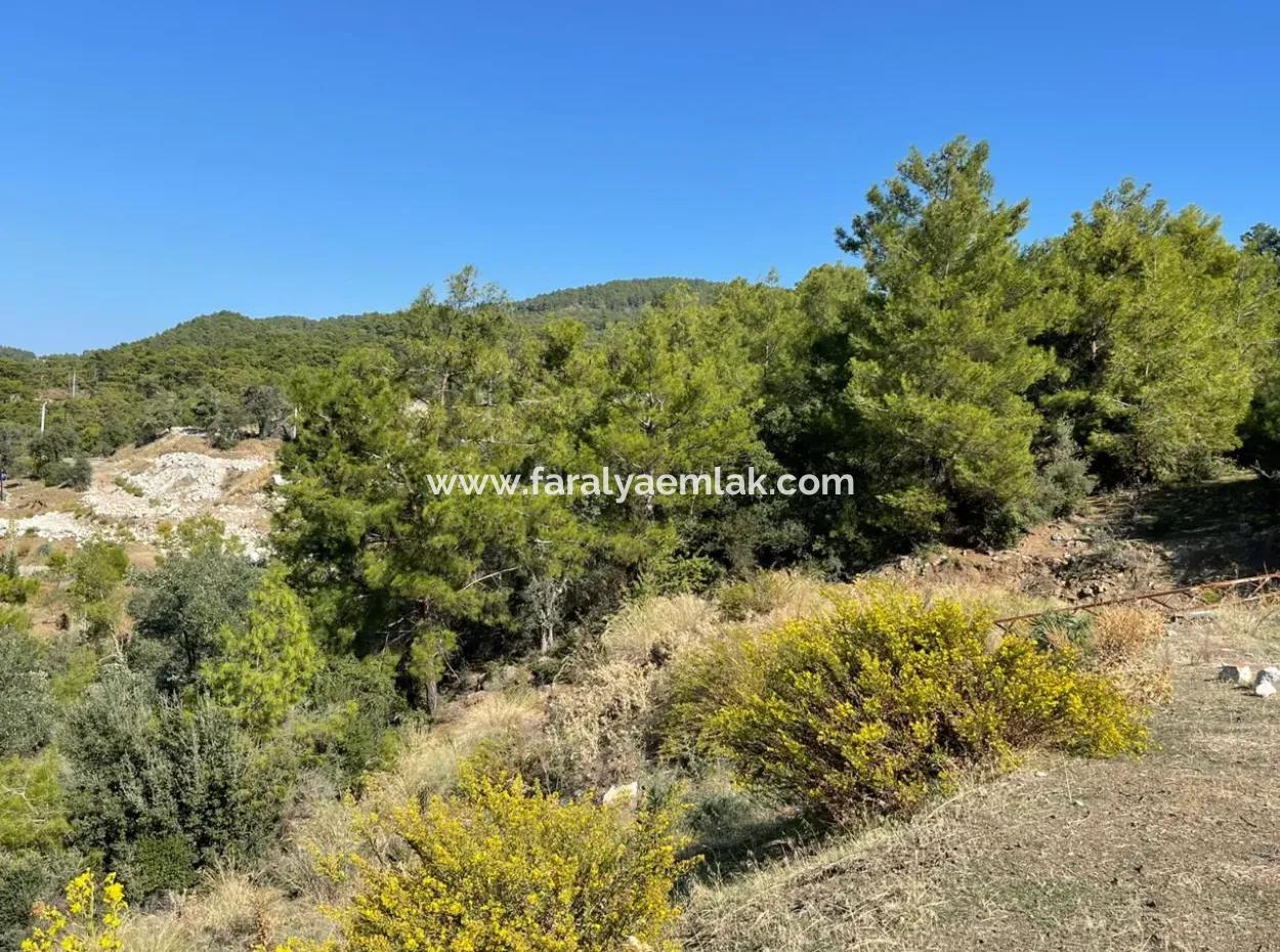 4801M2 Land For Sale In Gökbel With Full Sea View