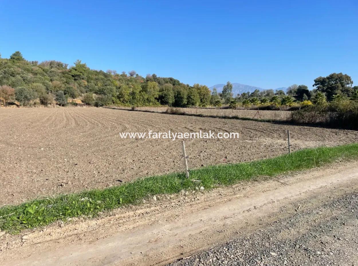 6254M2 Field For Sale Near Dalyan In Eskiköy