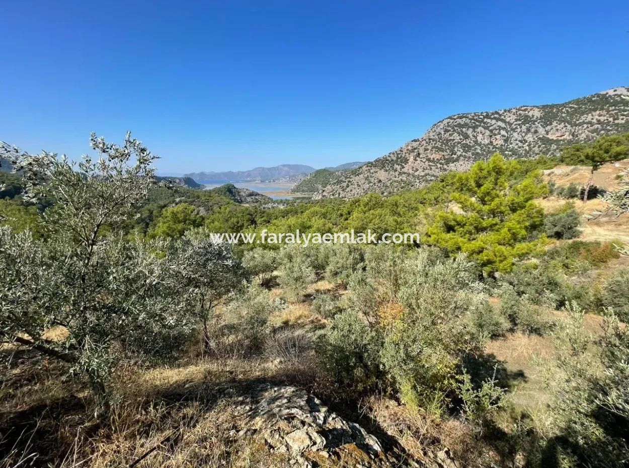 Gökbelde Full Sea View 3514M2 Land For Sale