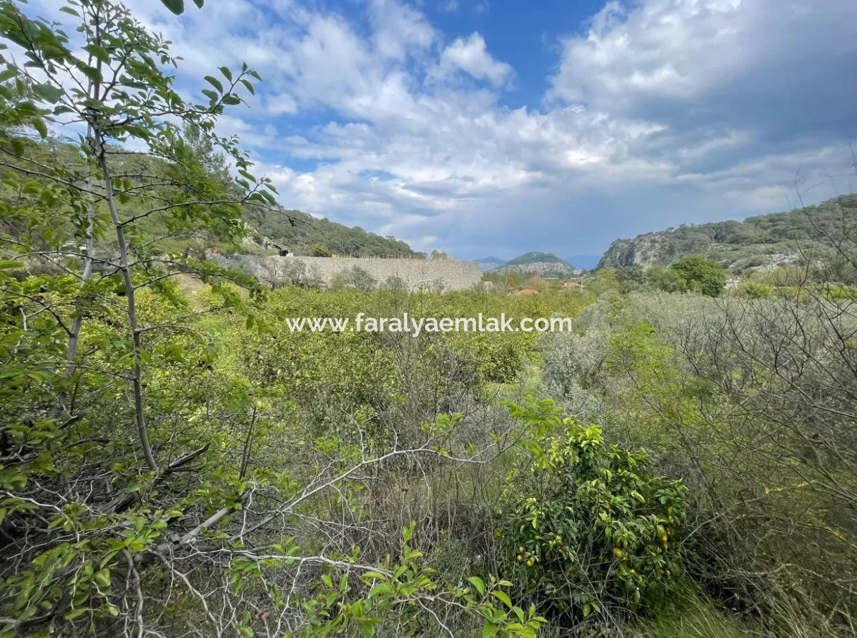 5000M2 Field For Sale At The Beginning Of The Road In Çandır