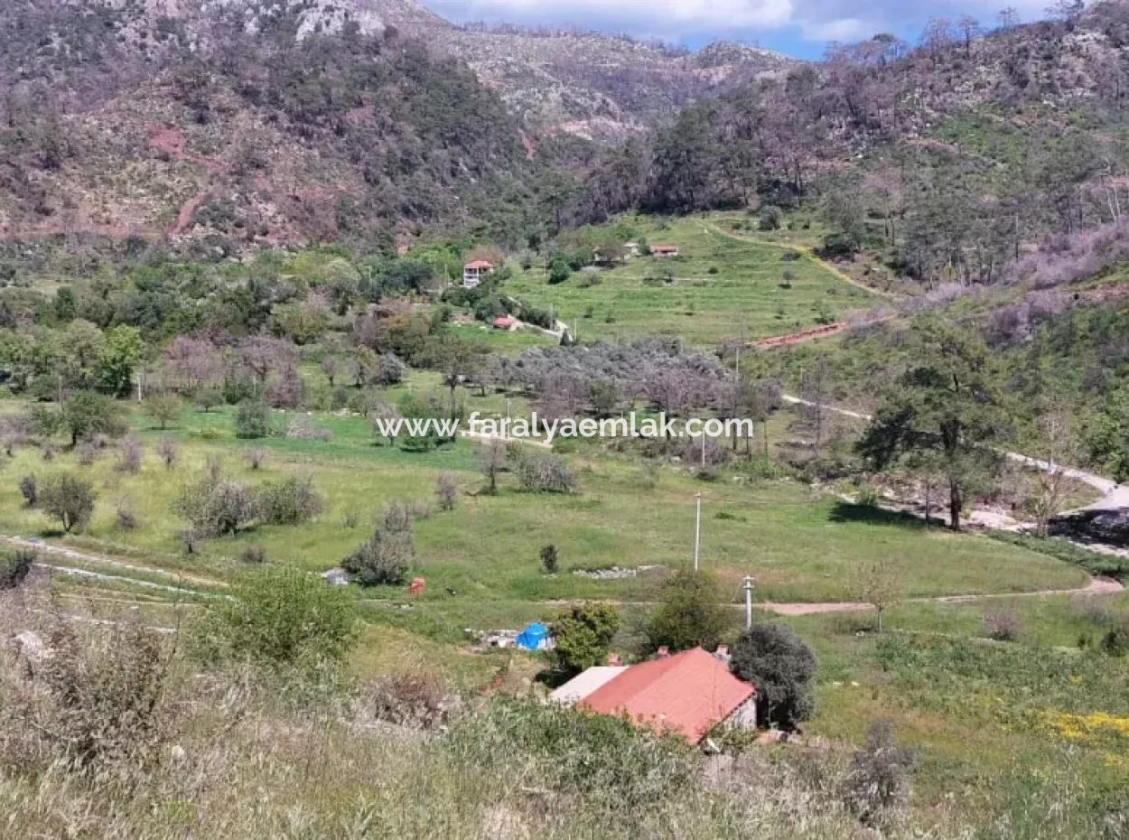 Marmaris Turgut Investment Land For Sale 29600M2 For Sale