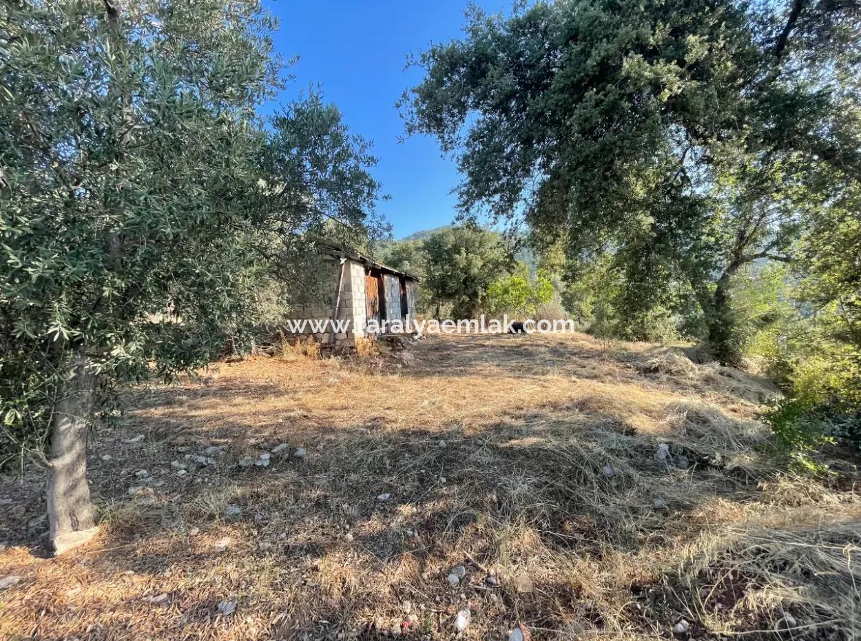 Çandır Full Sea And Lake View 500M2 2B Field For Sale