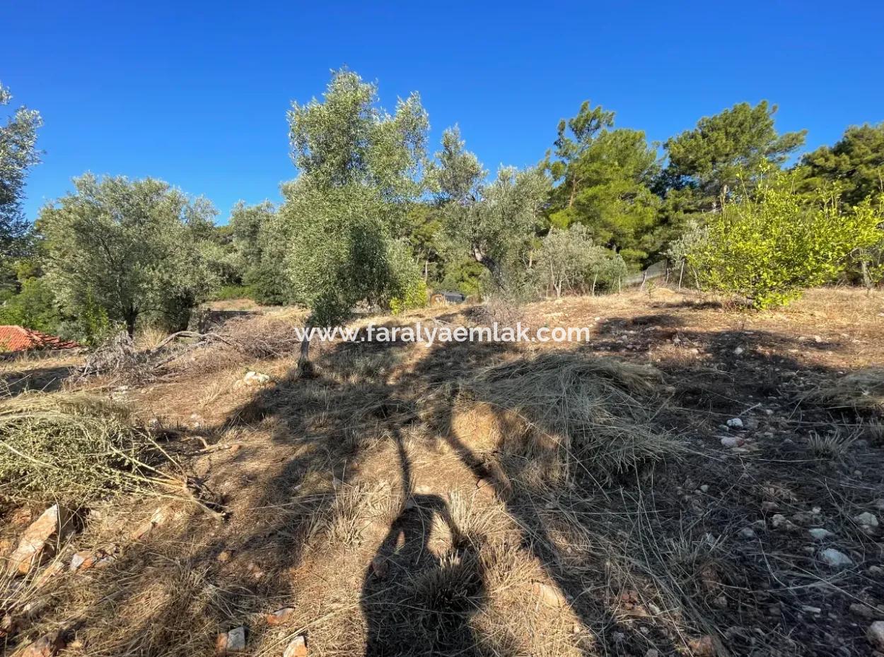 Çandır Full Sea And Lake View 500M2 2B Field For Sale