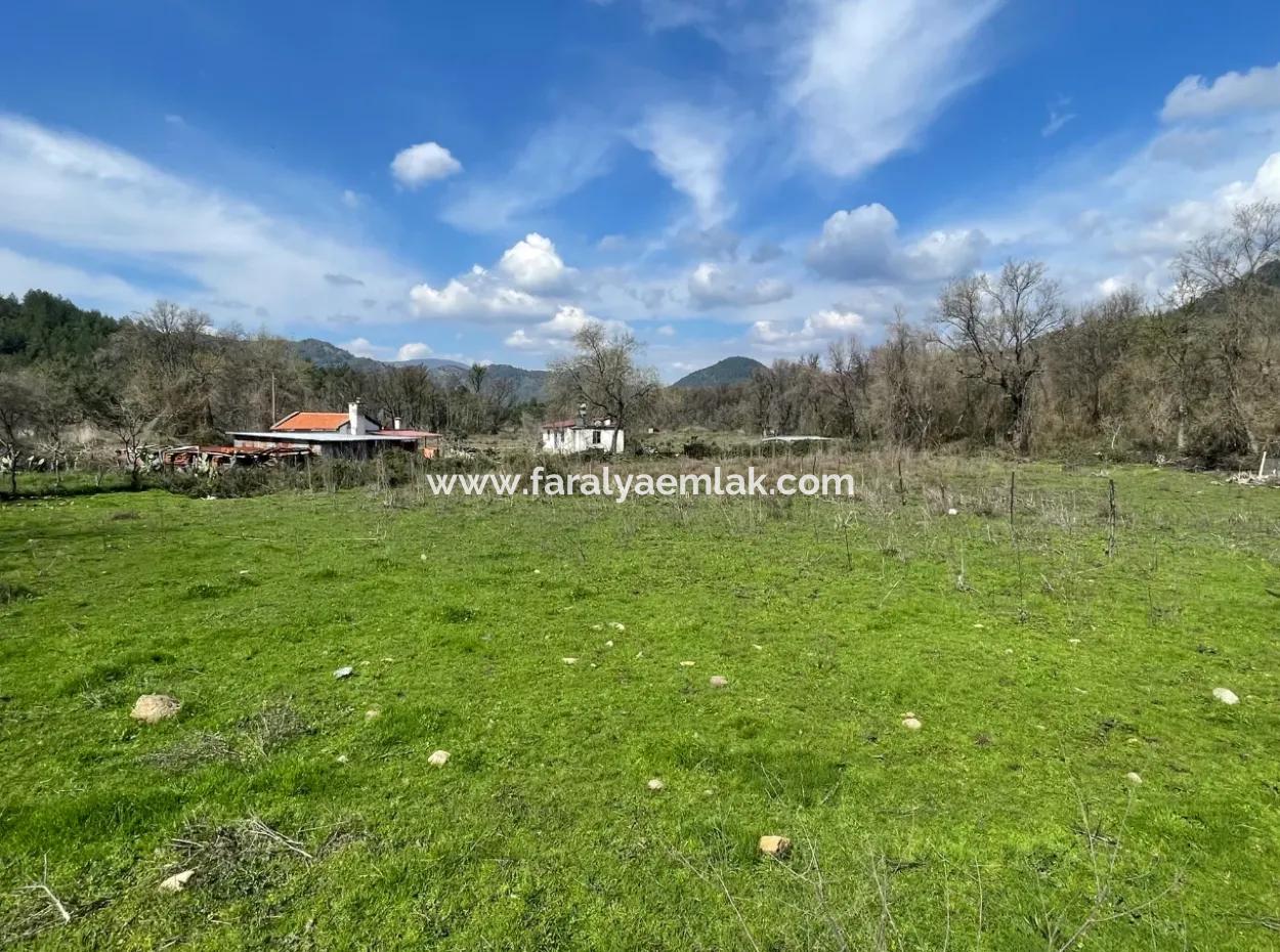 Sultaniye Büyükkaraç Mahallesin For Sale Field