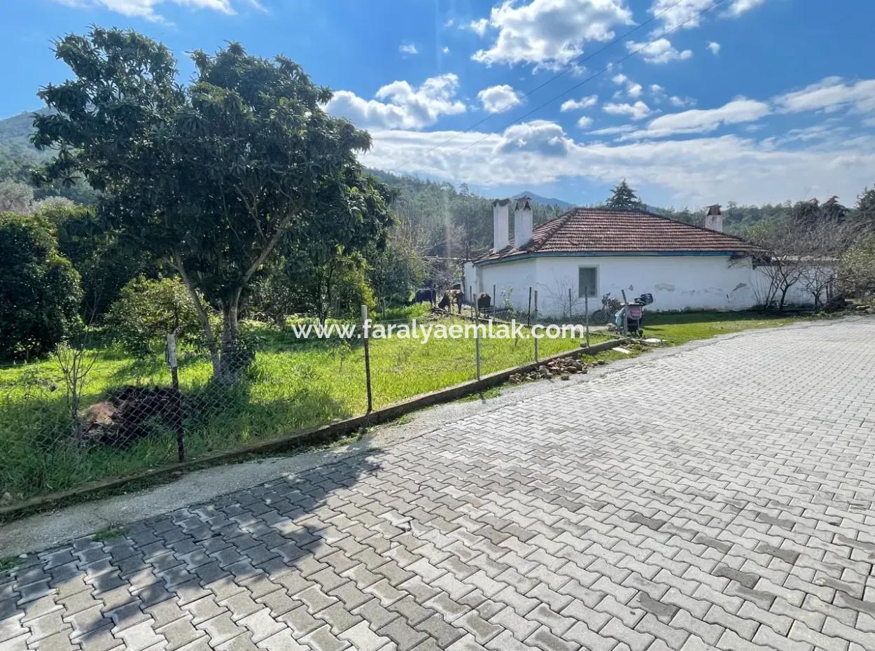 Sultaniye Büyükkaraç Mahallesin For Sale Field