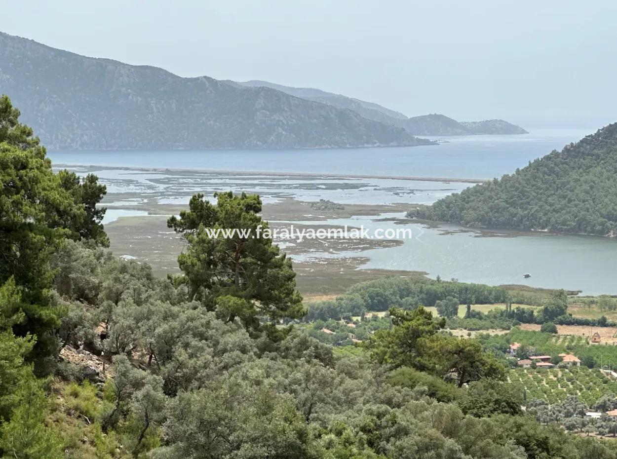 Land For Sale In Çandır With Lake Sea View