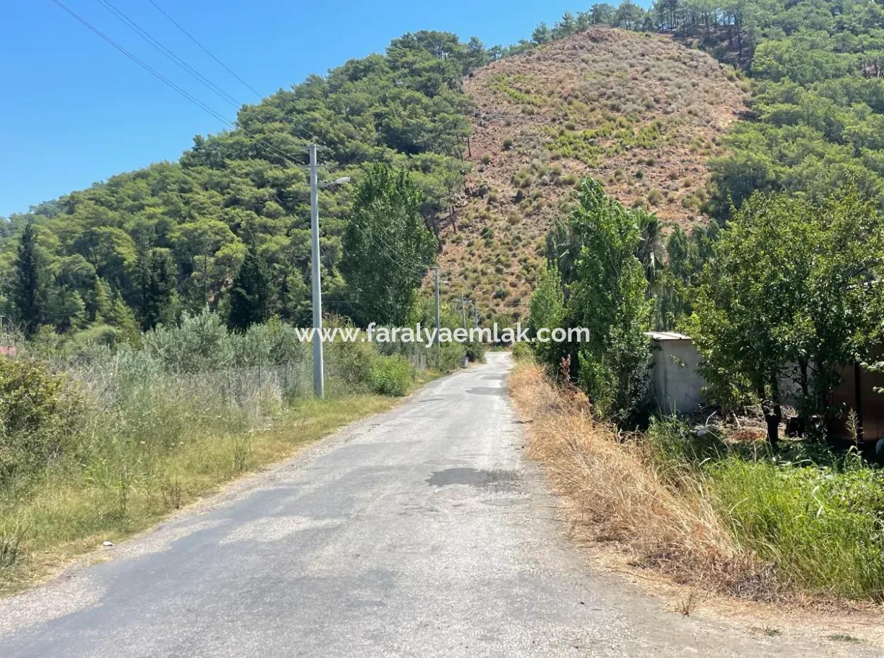 Road-New 6820M2 Pomegranate And Lemon Orchard Is For Sale In Tepearası