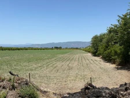 46,550M2 Land For Sale In Tepearası