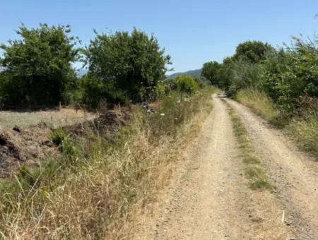 46,550M2 Land For Sale In Tepearası