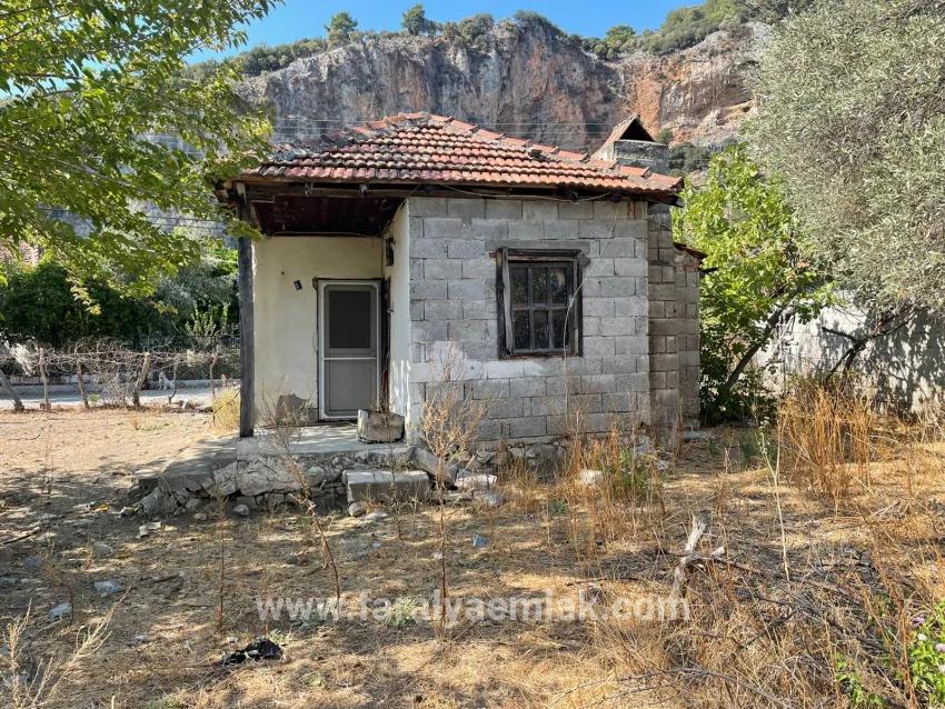 Продается Отдельно Стоящий Дом Площадью 2765 М² В Чандыре, Прямо Рядом С Каналом.