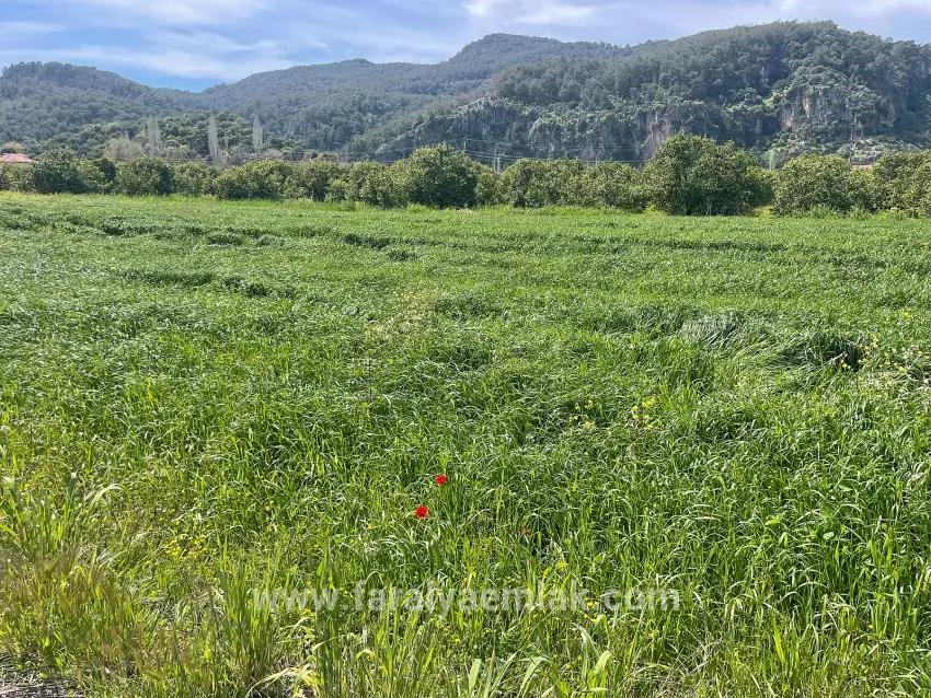 В Окчуларе 736m2 Общая Площадь 250m2 Строительная Разрешение Имеется Продается Земельный Участок