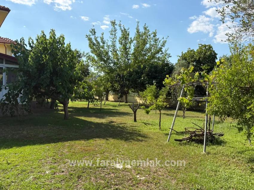 Далиан Гюльпынар 1000m2 Арса Внутри 4+2 Сатılıк Вилла