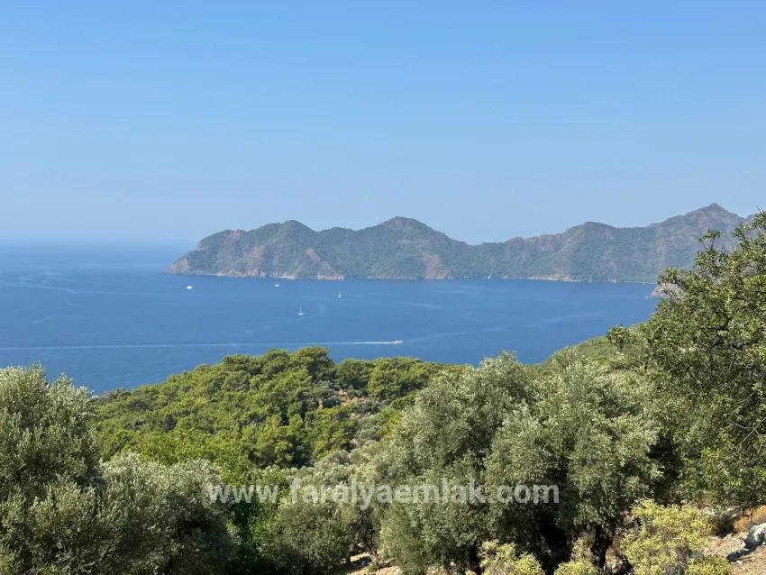 Для Продажи Поле в Çandır Köyceğiz - Под Поле застройку - 21.000 m²