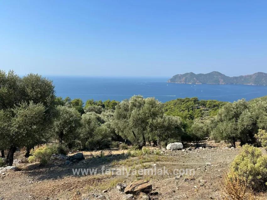 Для Продажи Поле в Çandır Köyceğiz - Под Поле застройку - 21.000 m²