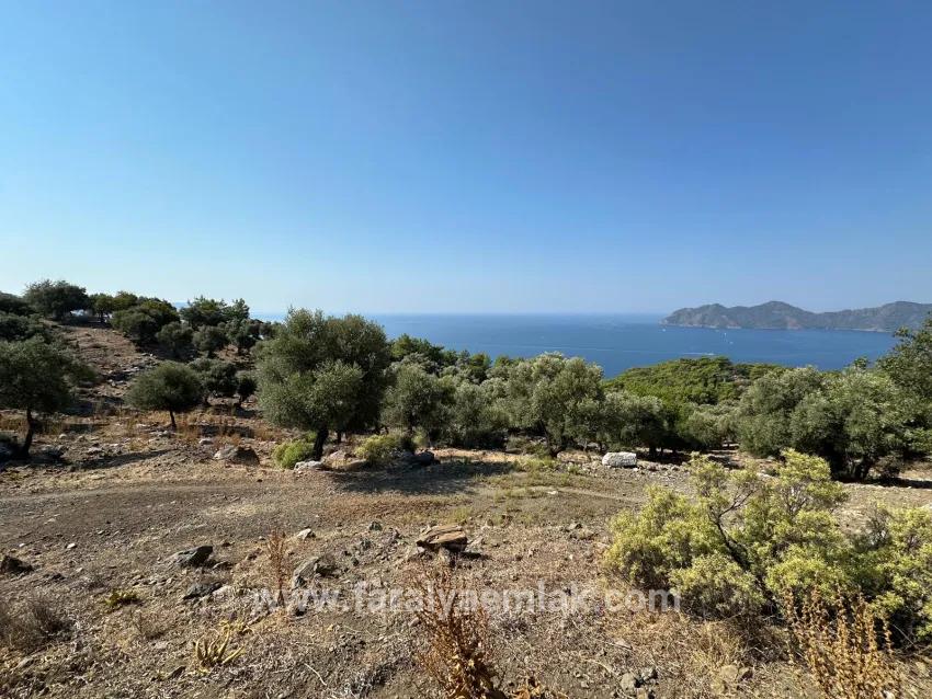 Для Продажи Поле в Çandır Köyceğiz - Под Поле застройку - 21.000 m²