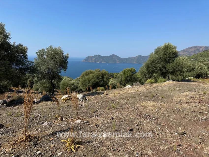 Для Продажи Поле в Çandır Köyceğiz - Под Поле застройку - 21.000 m²