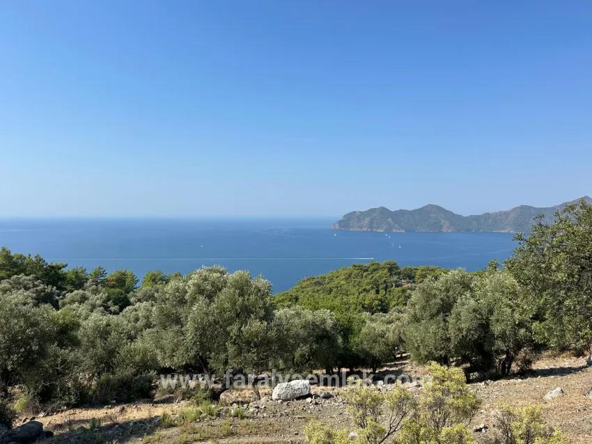 Для Продажи Поле в Çandır Köyceğiz - Под Поле застройку - 21.000 m²