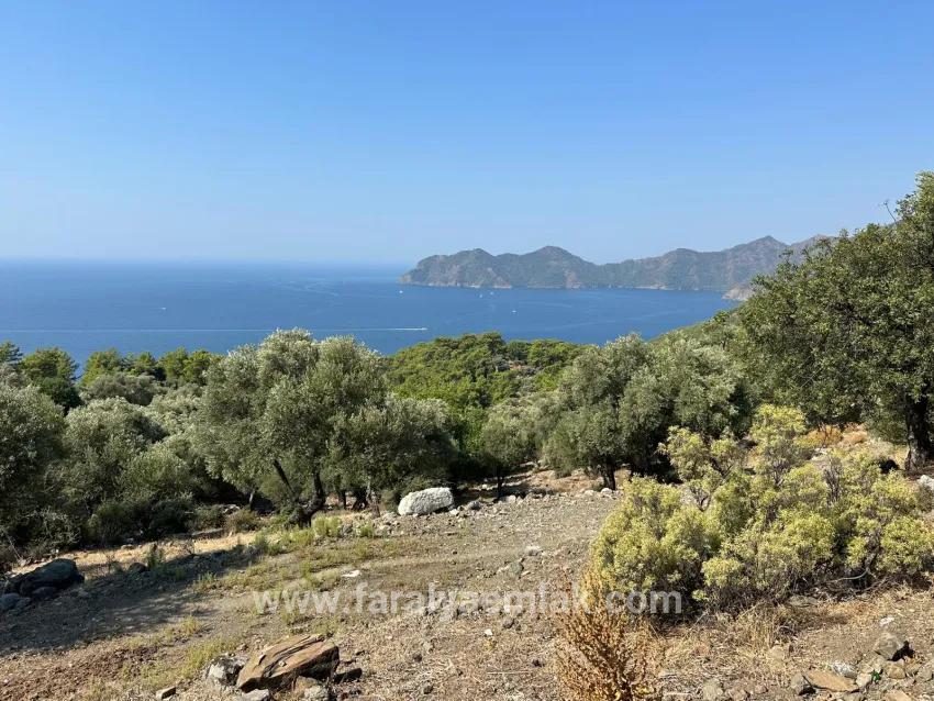 Для Продажи Поле в Çandır Köyceğiz - Под Поле застройку - 21.000 m²