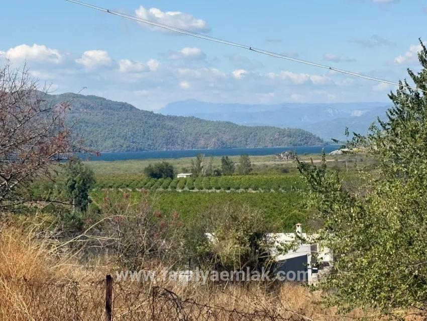 Для продажи Поле в Dalyan Ortaca - Под Поле застройку - 5.000 m²