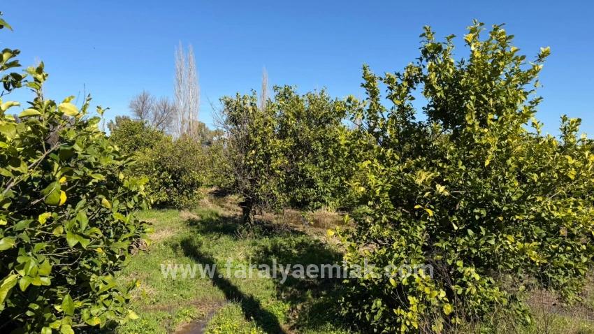 Продается Земельный Участок Площадью 2 218 М² В Окчуларе, Мармарис.