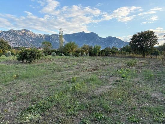 В Дальяне Продается Земельный Участок Площадью 7450 М² С Зонированием 5%.