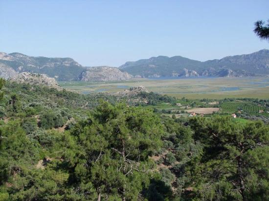 Продается Земельный Участок Площадью 19 334 М² В Чандыре, Кёйджегиз.