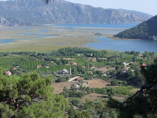 Продается Земельный Участок Площадью 19 334 М² В Чандыре, Кёйджегиз.