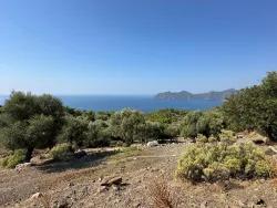 Для Продажи Поле в Çandır Köyceğiz - Под Поле застройку - 21.000 m²