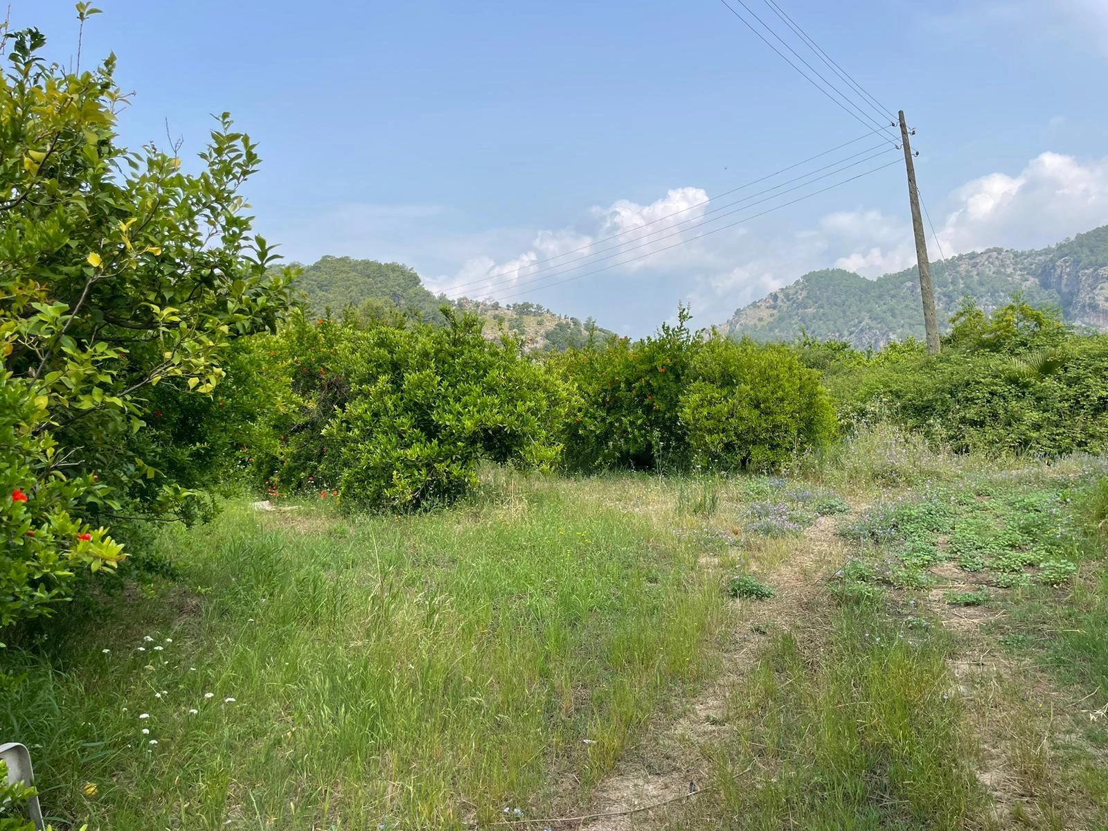Gökbel'de İztuzu Plajı Yoluna Sıfır 7800m2 Satılık Arazi