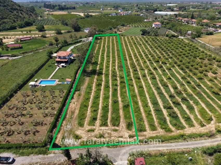Ortaca Dalyan Mah. Satılık Tarla - Tarla İmar Durumlu - 5.100 m²