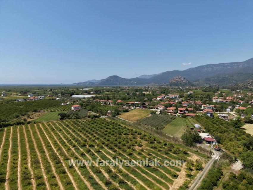 Dalyan Merkeze Yakın 5100m2 Satılık Tarla