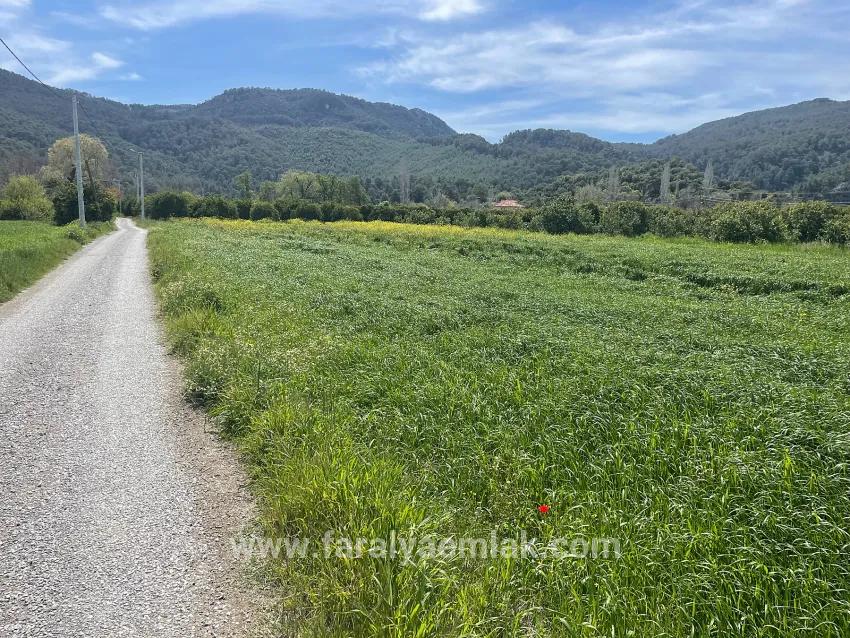 Okçular'da 736m2 Olan 250m2 İnşaat İzinli Satılık Arsa