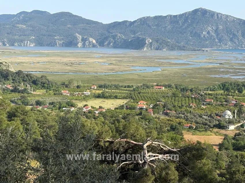 Köyceğiz Çandır Mah. Satılık Tarla - Tarla İmar Durumlu - 1.252 m²