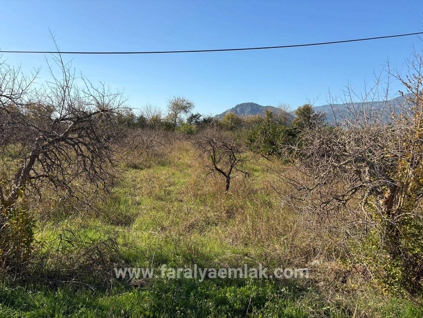 Ortaca Dalyan Mah. Satılık Tarla - Tarla İmar Durumlu - 4.541 m²