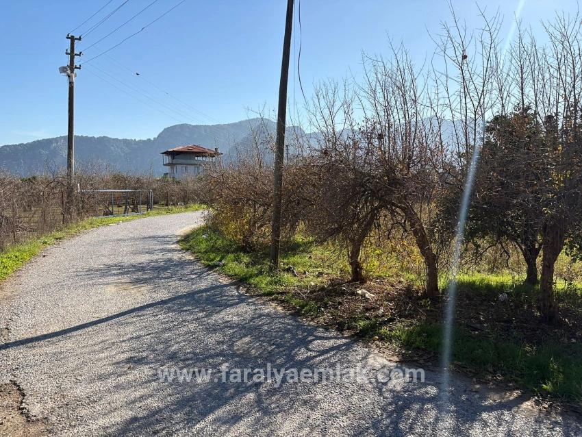 Ortaca Dalyan Mah. Satılık Tarla - Tarla İmar Durumlu - 4.541 m²