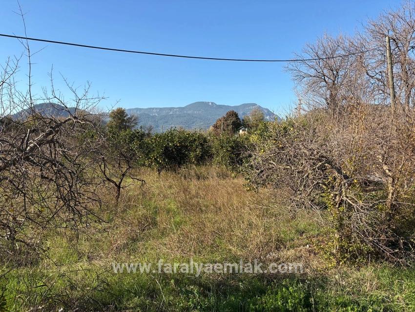 Ortaca Dalyan Mah. Satılık Tarla - Tarla İmar Durumlu - 4.541 m²
