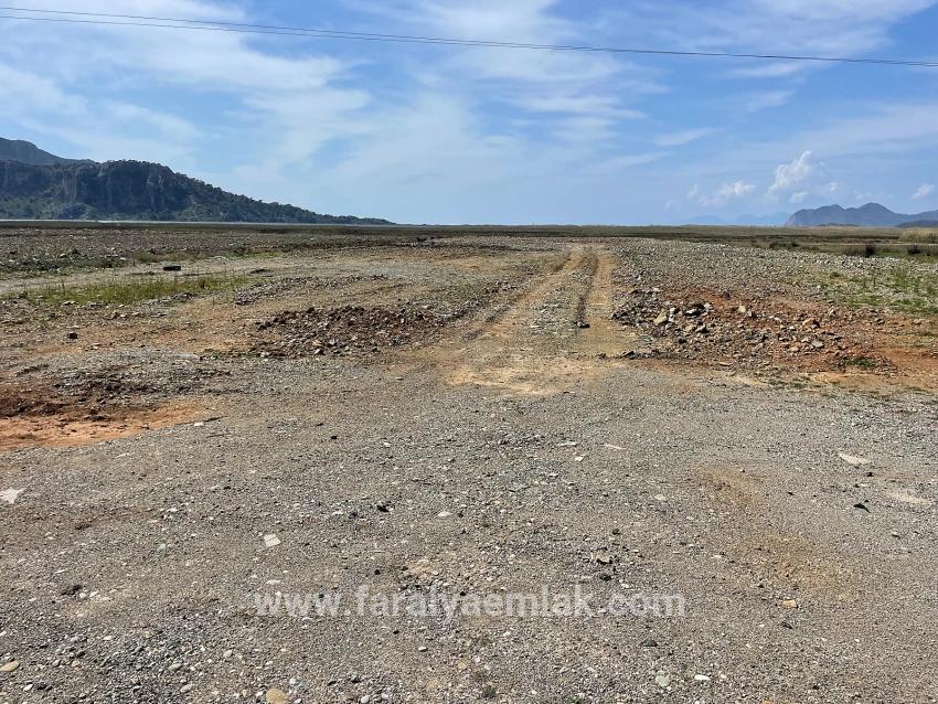 Dalyan İztuzu Plaj Yoluna Sıfır 19.600m2 Satılık Tarla