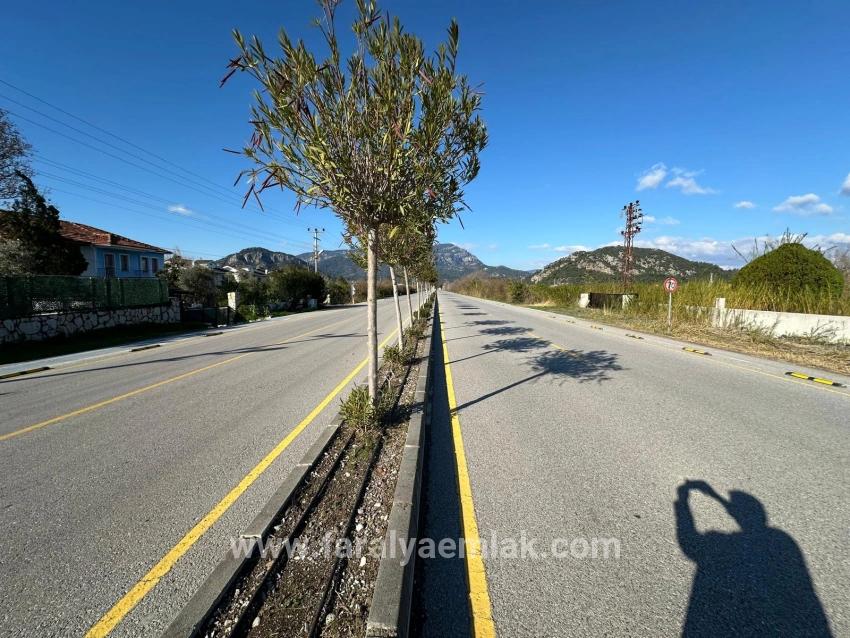 Dalyan Anayola Sıfır 5.111m2 Satılık Ticari-konut Arsası