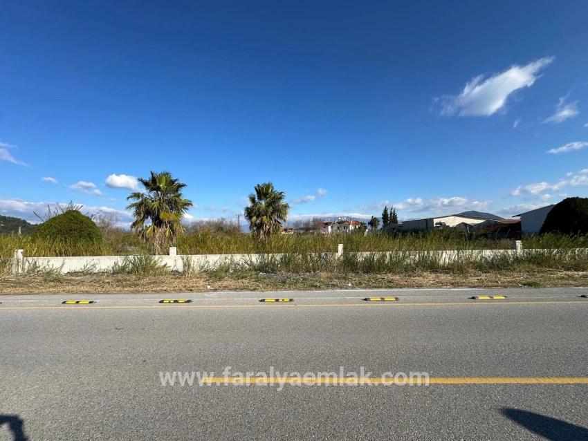Dalyan Anayola Sıfır 5.111m2 Satılık Ticari-konut Arsası