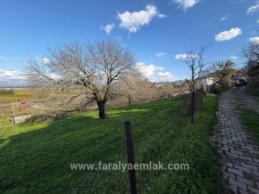 Dalyan'da Göl Manzaralı 11.230m2 Satılık Tarla
